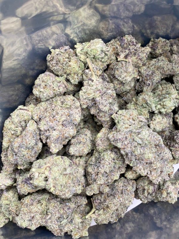 mac 1 strain