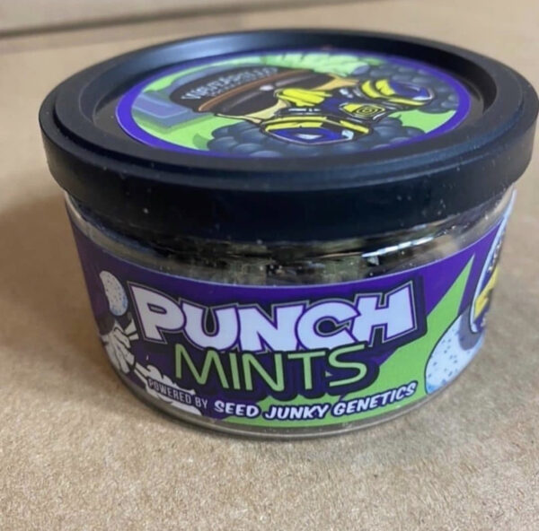 Punch Mints