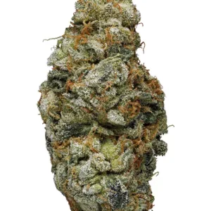blue cookies strain